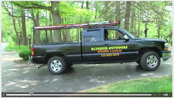 Video Marketing - Blueshin Outdoors